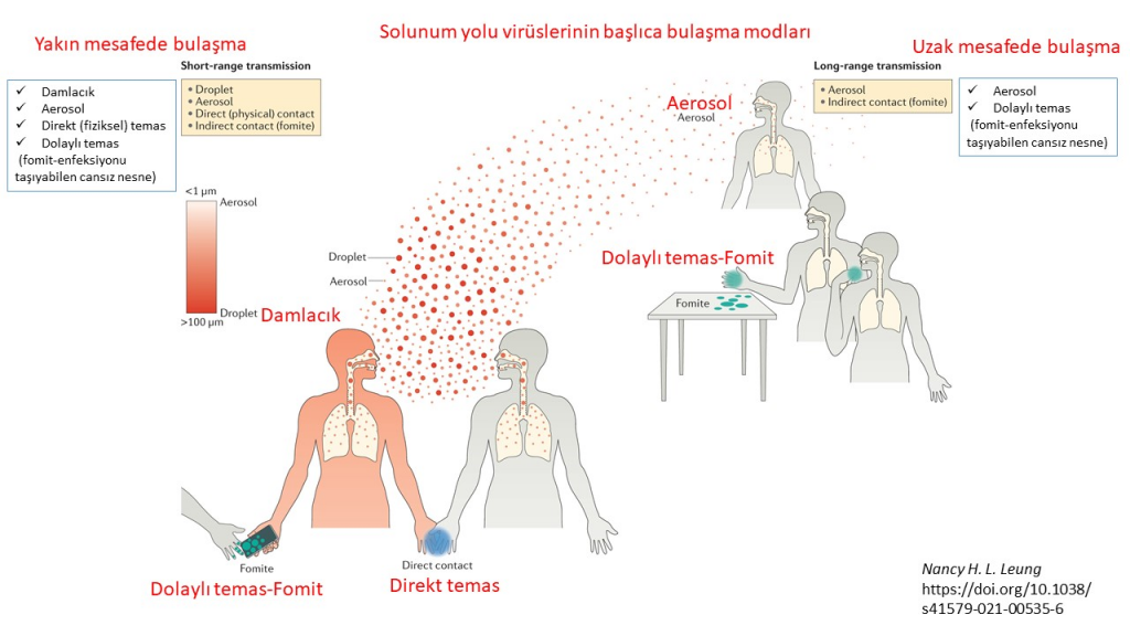 Bu görsel boş bir alt niteliğe sahip; dosya adı image-30-1024x576.png